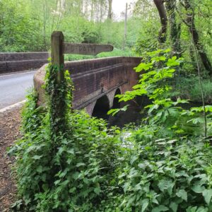 the-river-loddon-in-basing_52084876440_o
