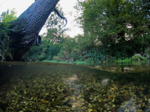 DCIM100GOPROGOPR0659.JPG