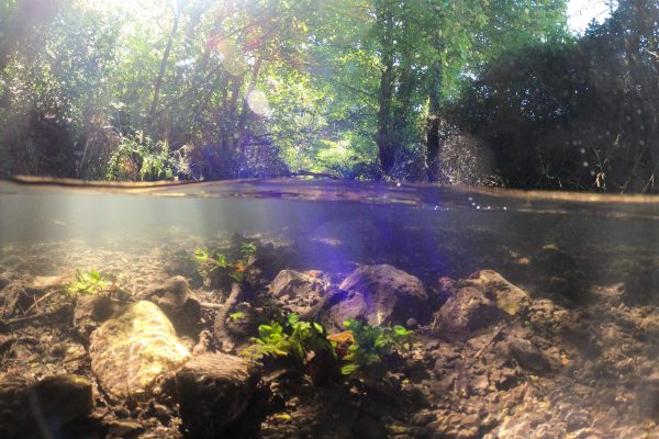 DCIM100GOPROGOPR0962.JPG